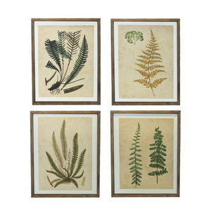 Vintage Wood Framed Botanical Wall Art Prints Set Of 4 - Nikky Home