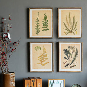 Vintage Wood Framed Botanical Wall Art Prints Set Of 4 - Nikky Home