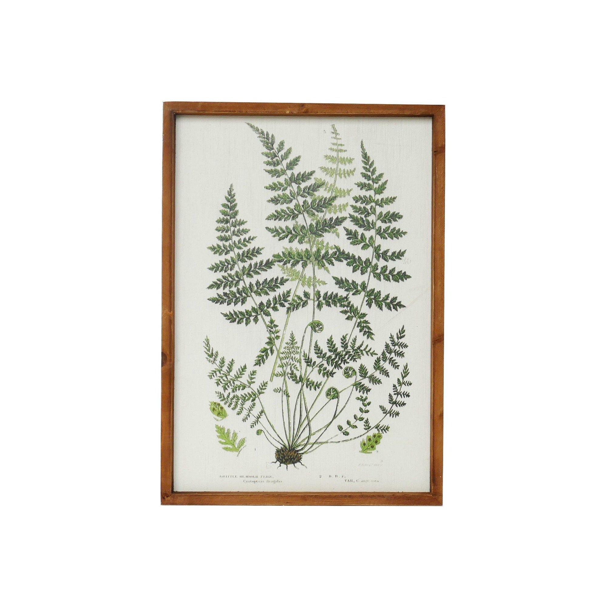 Botanical Wall Art Decor - Nikky Home