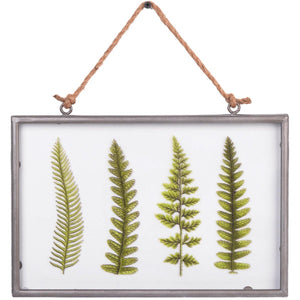 Fern Print Framed Wall Art - Nikky Home